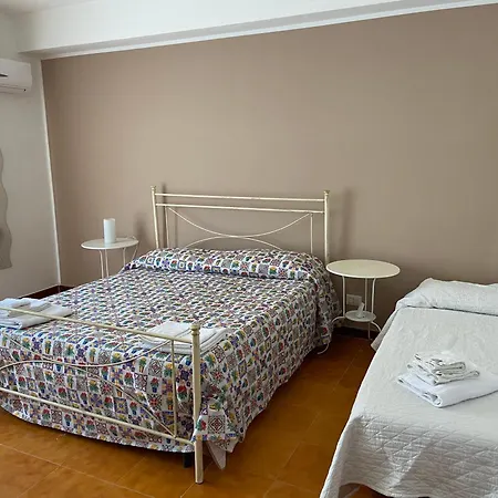 게스트하우스 Dragonfly New