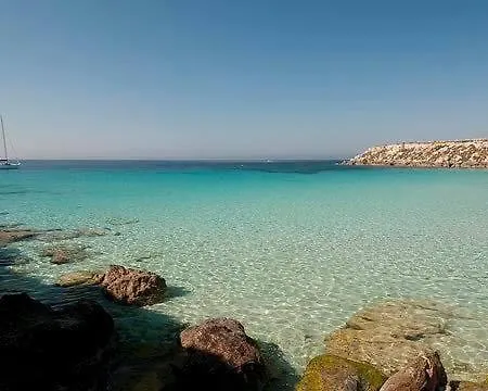 Dragonfly New 게스트하우스