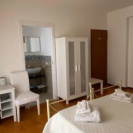 Dragonfly New 트라파니